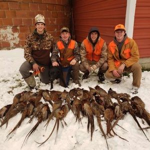 Meet your Posher, Bo